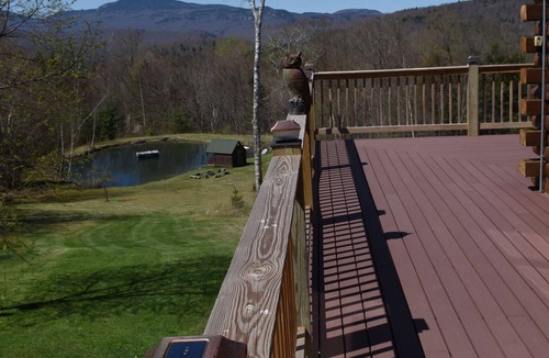 Waterbury Cabin | A Great 4 Season Home ; Relaxing, Rustic, Scenic - This Home Has It All