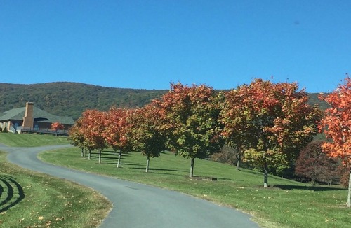 Greenwood House | A Must Stay Estate Located by Numerous Wineries & Breweries in Afton, Va