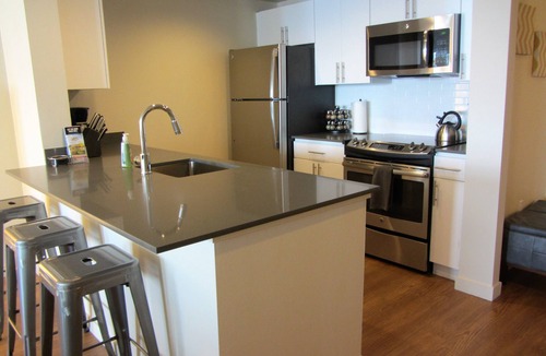 Downtown Seattle Apartment | Amazing Location by Pike Pl Market ~ Water Views ~ HUGE, Sleeps 8, 6 adults max