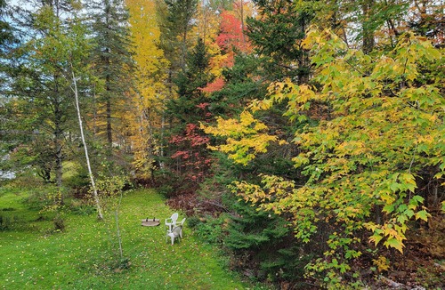 Bethlehem House | "Bear Crossing" Whole 🏠! 10% off 7 nts or more, 15% off 28 nts or more