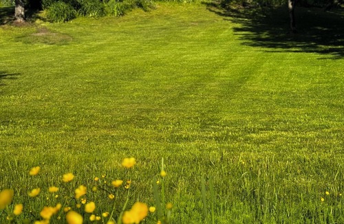 Plainfield House | Beautiful Home in Central Vermont