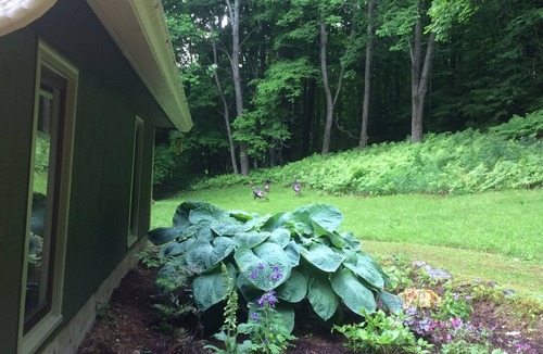 Richmond House | Beauty, Privacy, and Comfort!