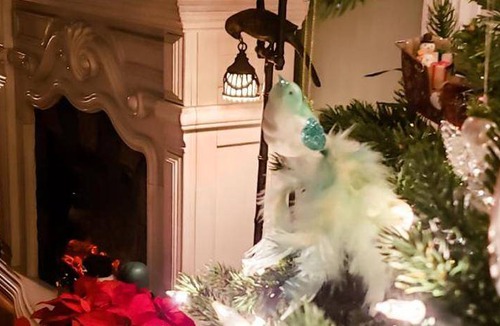 Williamsburg Bed & Breakfast | Bed and breakfast ∙ 127 guests