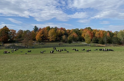 Charlotte House | Best of Vermont: 3 bedroom on 10 acres