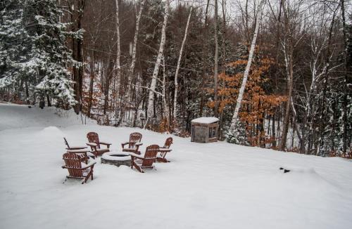 Ludlow House | Birch House: Cozy Cabin 5 min from Okemo
