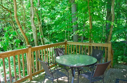 Bloomington Cottage | Brookie Cottage on Savage River, Fly Fishing, Hiking, Biking, relaxing getaway