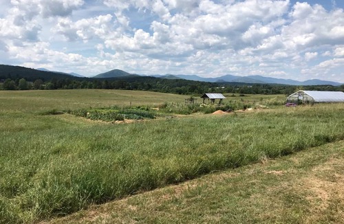 Westport Other | Camping ∙ 1 bedroom ∙ 4 guests