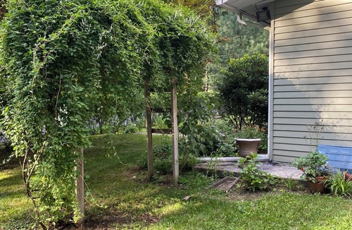 Cairo House | Catskill retreat, cozy and comfortable with wood fire and large yard!