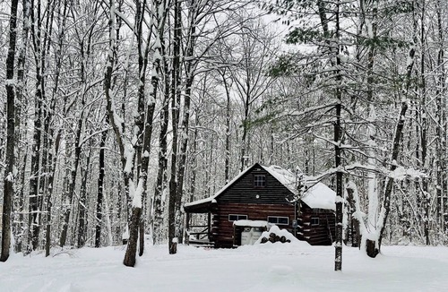 Cooperstown Cabin | Charming Full Bed & 2 Twin Bed cabin w/AC, Heat, WiFi in lovely Cooperstown,