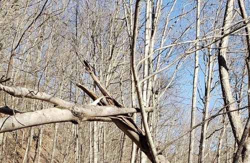 Bluewell House | Close to Hatfield/McCoy and Outlaw trails and other attractions