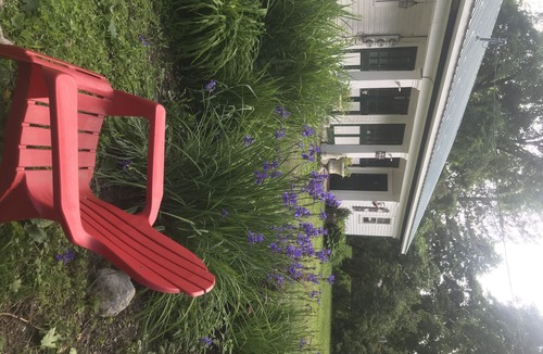 North Bennington House | Cozy 1 Bedroom farm stay cottage