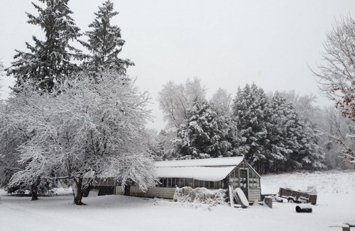 North Bennington House | Cozy 1 Bedroom farm stay cottage