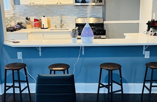 Irvington House | Cozy 2-Bedroom Home allows you work remotely or hybrid with Wi-Fi