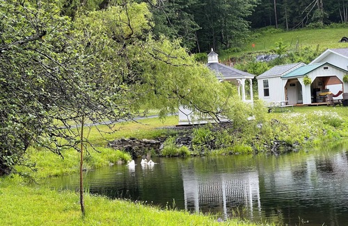 Davenport Cabin | Cozy “bed in a shed” cabin with WiFi and AC in charming East Meredith