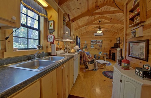 Asheville Cabin | Cozy Log Cabin w/Fire Pit, Mountain Views & Biltmore Pass — 20 Min to Asheville