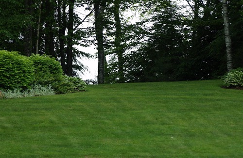 Dryden Hotel | Cozy Multiroom hotel with WiFi, AC in tranquil Wilton