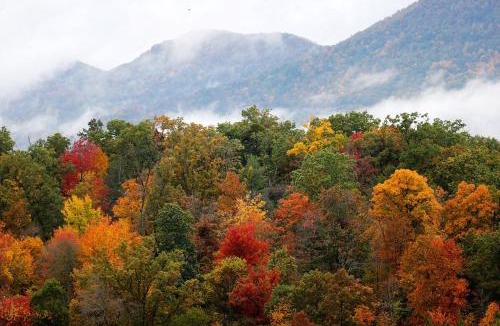Waterville Valley Apartment | Cozy Ski Condo