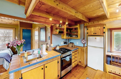 Northfield Apartment | Cozy studio cabin with free WiFi, gas fireplace, and patio