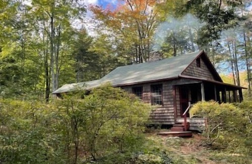 Nelson Cabin | Cozy, Wooded, Waterfront, Mountain View Cabin on Silver Lake