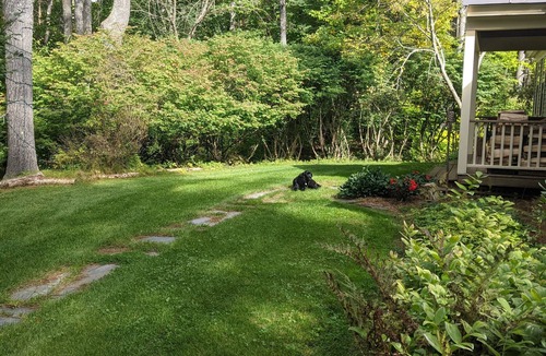 Hanover House | Dartmouth Graduation! In town, room to relax!