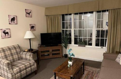 Hancock Apartment | Deluxe Ski On Off 1BR Suite Sleeps 4 on Jiminy Mtn
