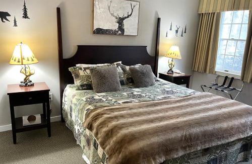 Hancock Apartment | Deluxe Ski On Off 1BR Suite Sleeps 4 on Jiminy Mtn