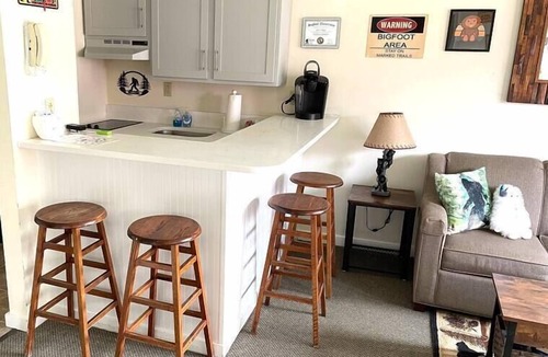 Hancock Apartment | Deluxe Yeti Suite on Jiminy Mtn -1st Flr Sleeps 4 - New Fully Redone Country Inn