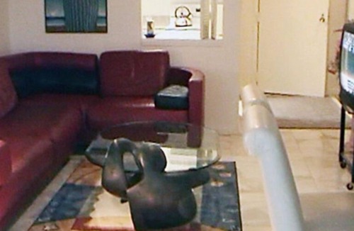 Northeast Virginia Beach Condo | Dolphin Run Condo, 2 Bedroom 2 bath, Oceanfront, Dolphin Watch from balcony