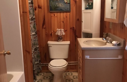 Lewis County Cabin | Easy Access Snowmobiling Cabin Right On The Trail #4