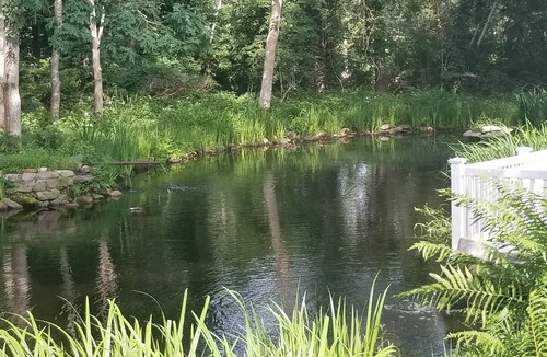 East Hampton North House | End of Cul De Sac Nice Bike Ride to Main Beach on back roads. Pond Setting.