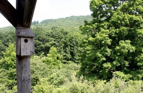 Warm Springs Cabin | Enjoy country life on a beautiful mountain horse farm setting