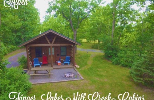 Lodi Cabin | Entire campground with 3 cabins