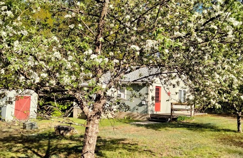 Center Ossipee Cottage | Escape to a cozy getaway in the White Mountains! Bonus: free early check-in!