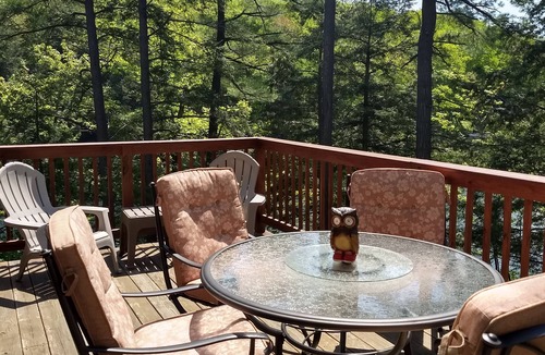 Forest Dale House | Escape to Quiet Fern Lake, 15 Minutes from Middlebury