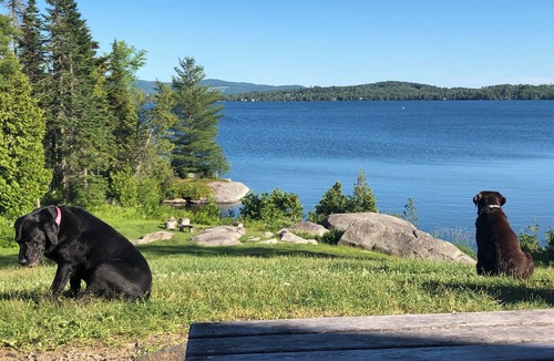 Greensboro House | Greensboro Lake Front . Beautiful 4 Season Vacation home .