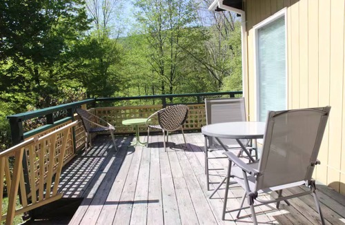 Margaretville Apartment | Groovy Chalet: Cool Mid-Century Catskill Mountain Digs!