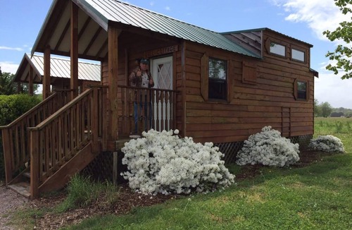 Wicomico Church Cabin | "Gull Cottage" Charming Tiny House on Chesapeake Bay-Boat Launch/Slip included