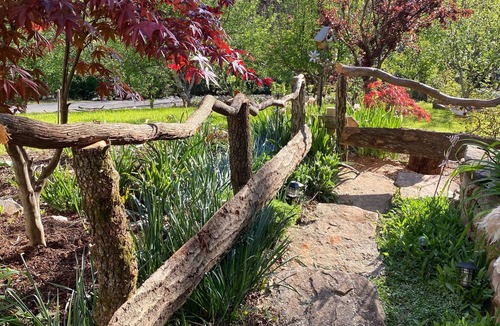 Black Mountain Apartment | High Top Hide-Away~ Your Retreat to Privacy