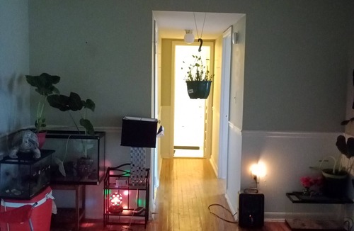 Greater Landover Apartment | I would on want this place just for a vacation spot