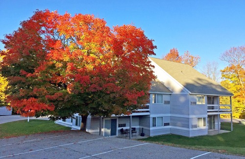 Killington Condo | Killington Blue Studio: Sleeps 4, Close to Mtn 123
