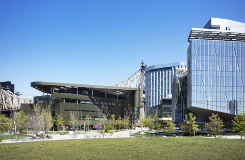 Snyder Square House | King Room at Graduate New York, Skyline Views!