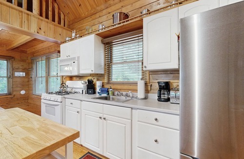 Greenville House | Lakefront home with private dock, canoe & kayak, fast WiFi, and firepit - dog OK