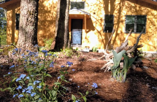 Jericho Cottage | Little house in the woods of Jericho - AC, W/D, Wifi, Patio
