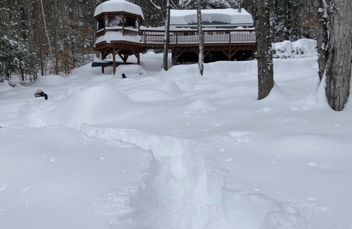 Andover Cabin | Little House on the Lake in the Forest