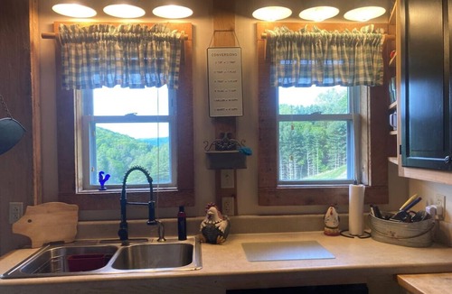 Mouth of Wilson Apartment | Little Private Cabin-Near Grayson Highlands