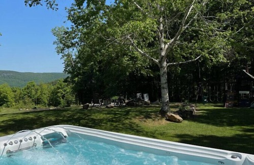 Clemons Apartment | Log Cabin w/Hot Tub minutes to Lake George Marina