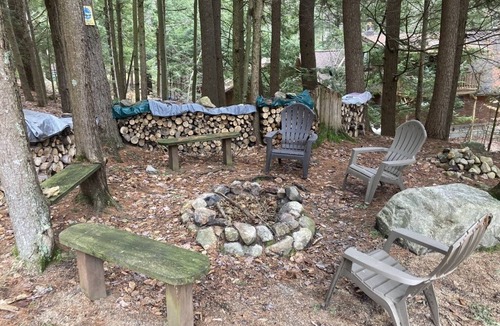 Chestertown Cabin | Loon Lake Log Cabin with canoe and kayaks, fire pit, and game room!