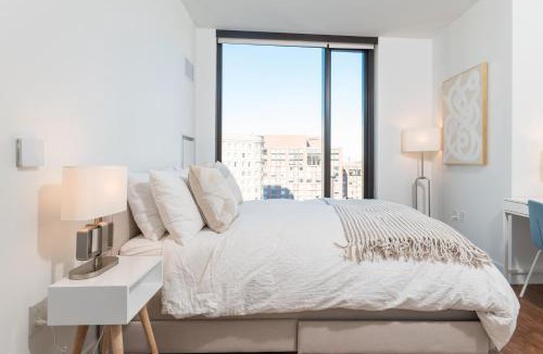 Back Bay East Apartment | Luxury 2BR BackBay Boston Common T-station Roof Top Lounge Gym