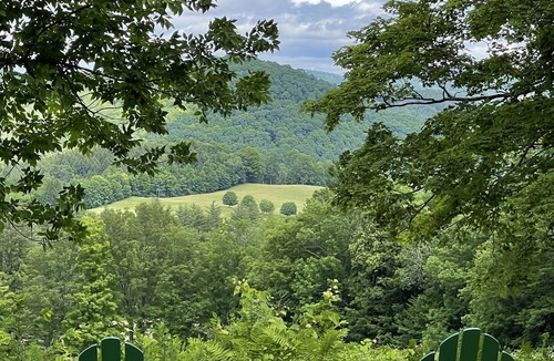 Woodstock House | Luxury, private, peaceful home with Instagram worthy amenities!