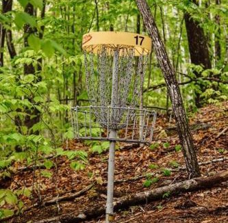 Stoneham House | Maine Woods Treehouse-The Birdie